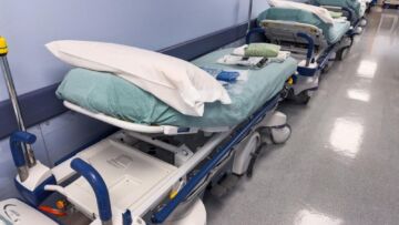 Na grzyby z głową. Najważniejsze zasady w lesie